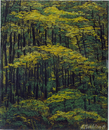 Mandalian Ombres et lumieres dans la foret Colombie Britannique[1]